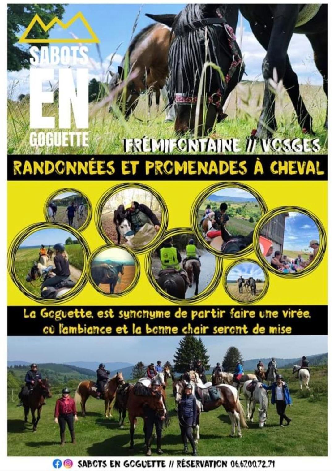 Les Vergers D'Epona "Fremifontaine Vosges" Kültér fotó
